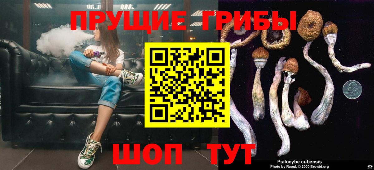 Галлюциногенные грибы мицелий  Вход с VPN  магазин  наркотиков  Чистополь 